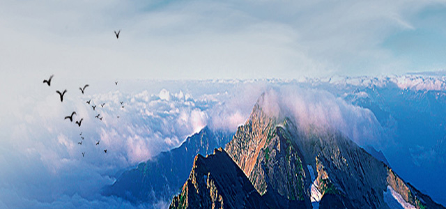 揚州德潤京洋安防科技有限公司廣告2